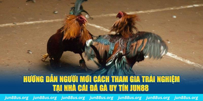 55 win loi game dot kich ket noi may chu that bai