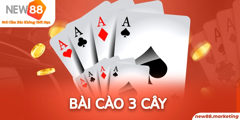 55 win gà choi c1