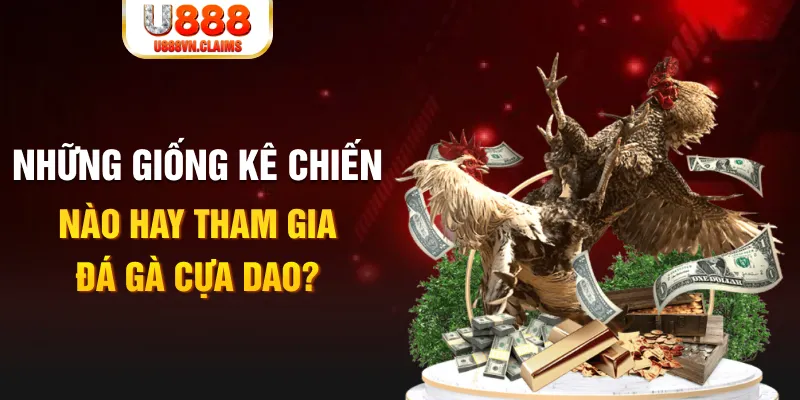 55 win KA Bắn cá
