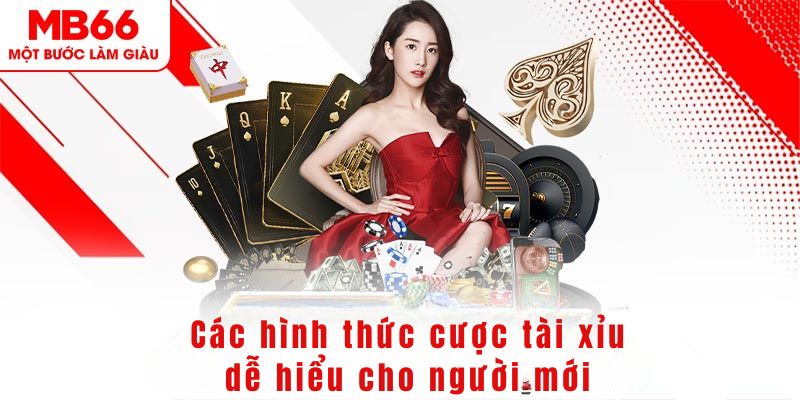 55 win DG Trực Tuyến