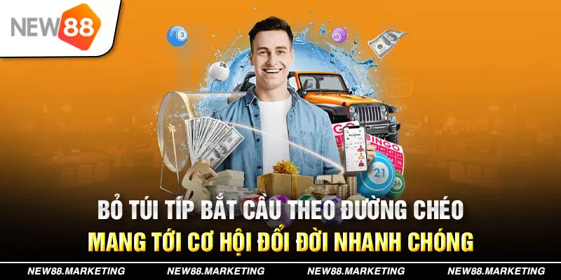 55 win trực tiếp đá gà