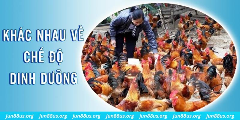 55 win xổ số miền nam thứ năm hàng tuần