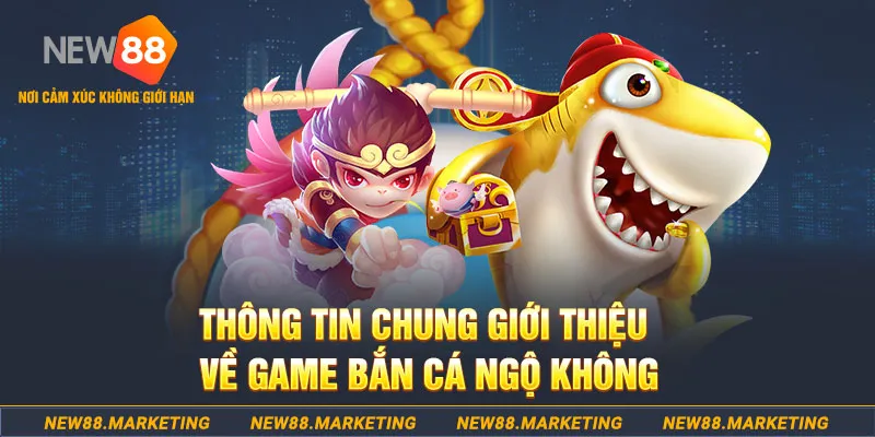 55 win gà chọi c1