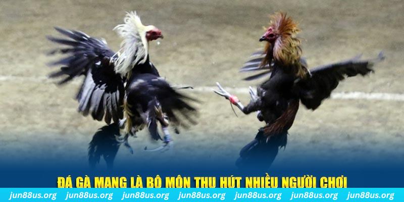 55 win đăng nhập lô đề hàng đầu