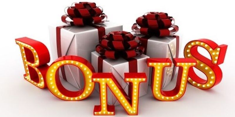 55 win slot tiếng anh la gì