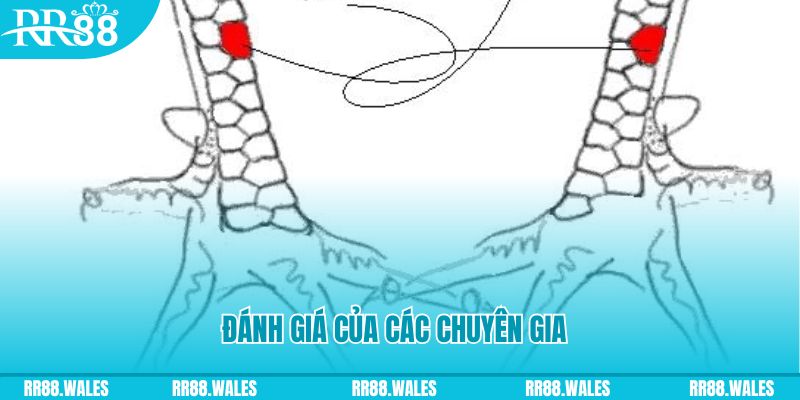 55 win V8 Game Bài 3d