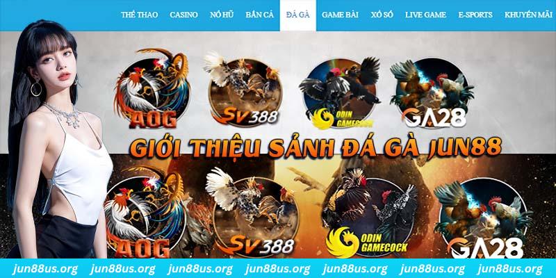 55 win đá gà trực tiếp bình luận viên
