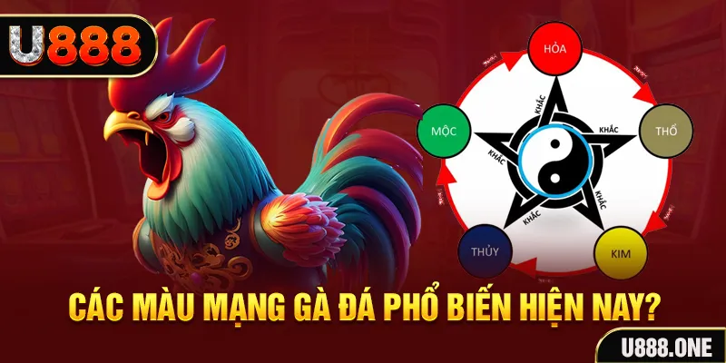 55 win FTG Điện Tử