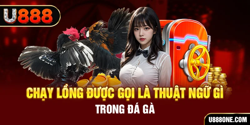 55 win tai game vua bai ve may tinh