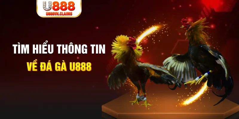 55 win đăng nhập tiến lên miền nam hàng đầu
