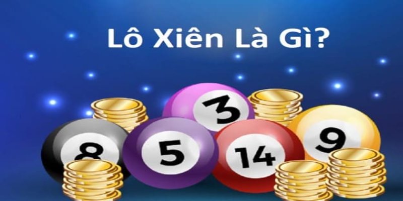 55 win gà chọi hòa phong