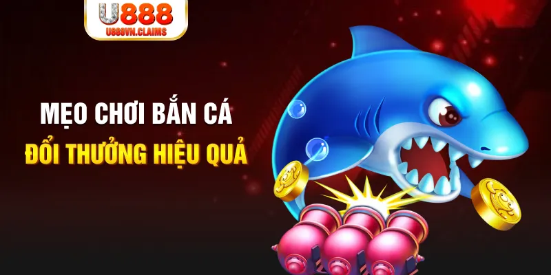 55 win baccarat có hợp pháp không