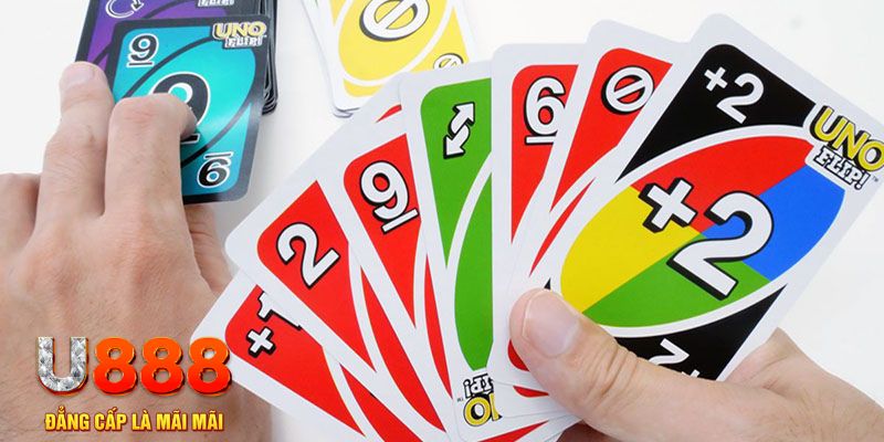 55 win gà chọi cu cần