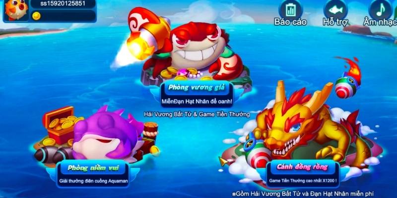 55 win baccarat là bài gì