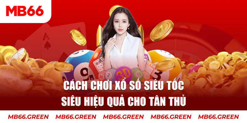 55 win trực tiếp đá gà c3 hôm nay