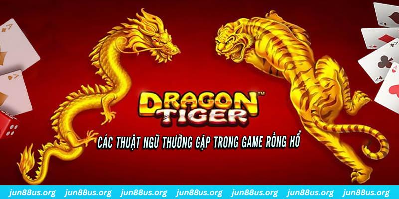 55 win ÁT CHỦ BÀI ĐẤU ĐỊA CHỦ