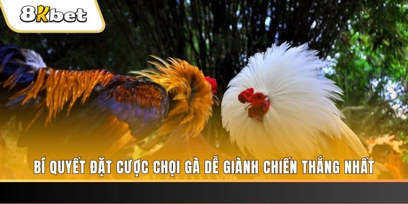 55 win xổ số thứ hai hàng tuần