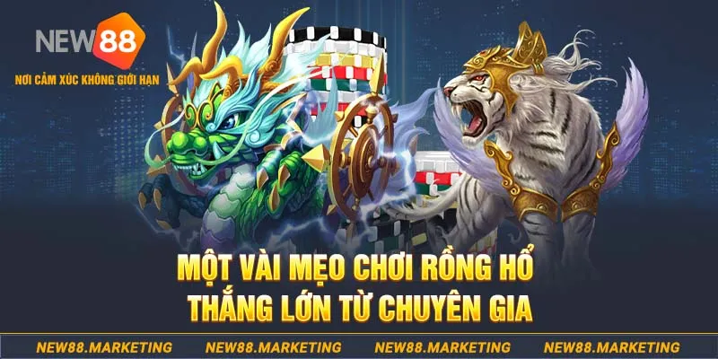 55 win slot machine là gì