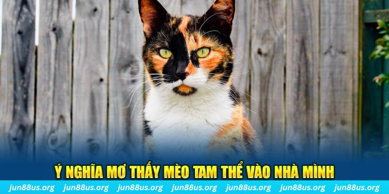 55 win RTG Bắn cá