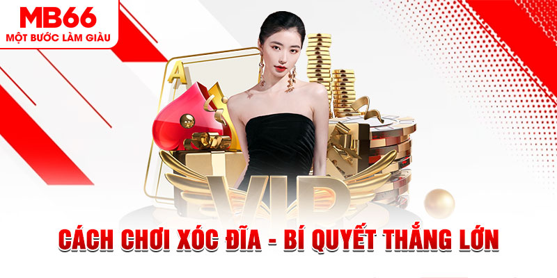 55 win trực tiếp đá gà c1 hôm nay