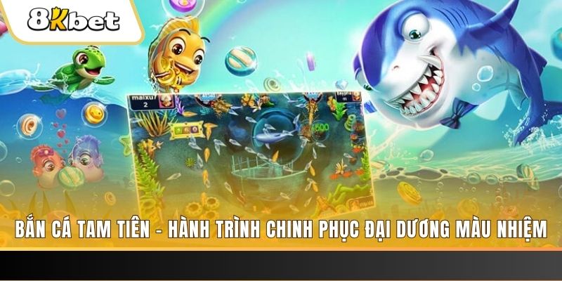 55 win đá gà trực tiếp thomo 67