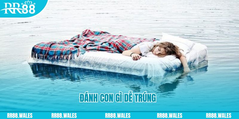 55 win đăng nhập liêng hàng đầu