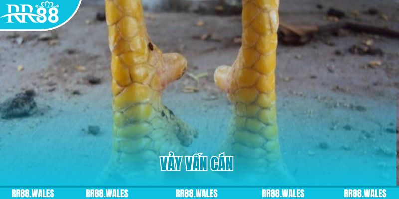 55 win đăng nhập nổ hũ hôm nay