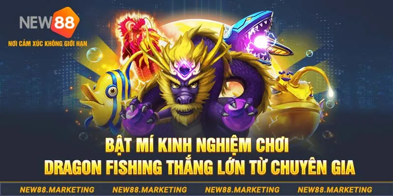 55 win đăng nhập nổ hũ live