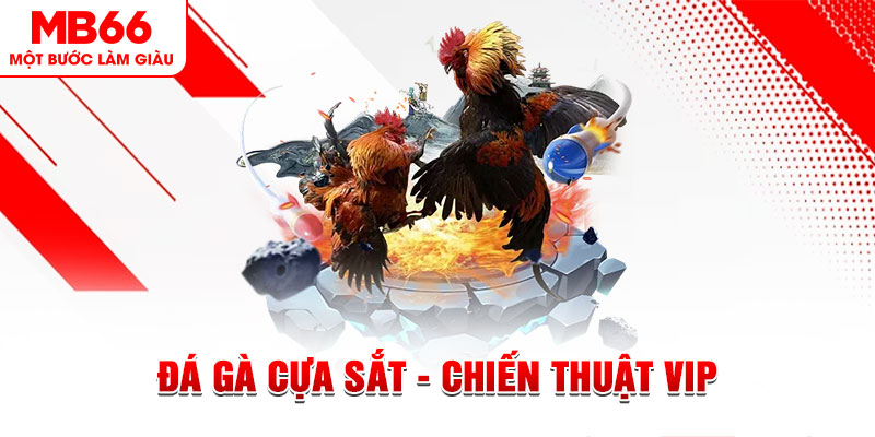 55 win xổ số trực tiếp hôm nay