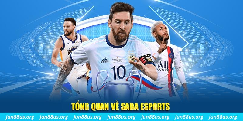 55 win kết quả xổ số miền nam