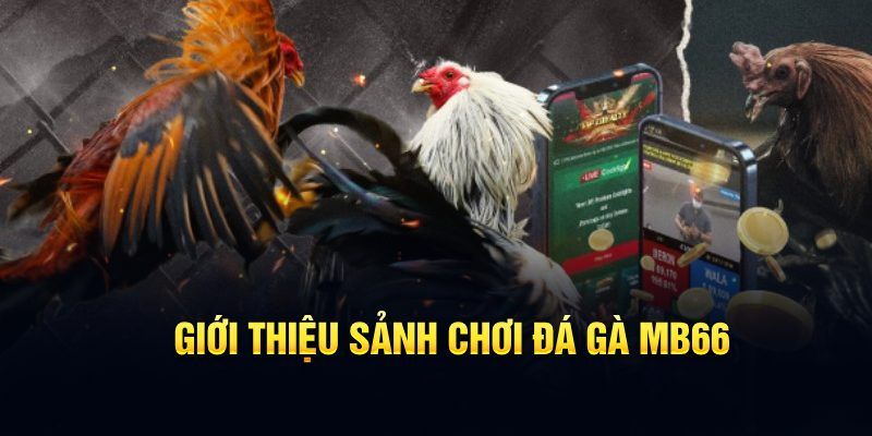 55 win đăng nhập poker hôm nay