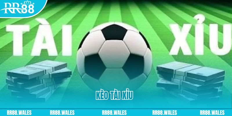 55 win Giành Chủ Bull Bull