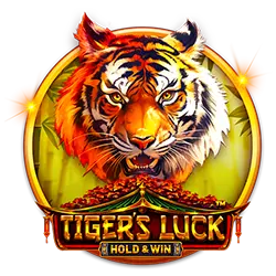 55 win Bonus Chơi Bài Tự Do